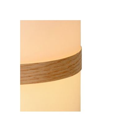 Lucide 06800/03/31 - LED udendørslampe dæmpbar JOE LED/3W/3,7V 680mAh IP44