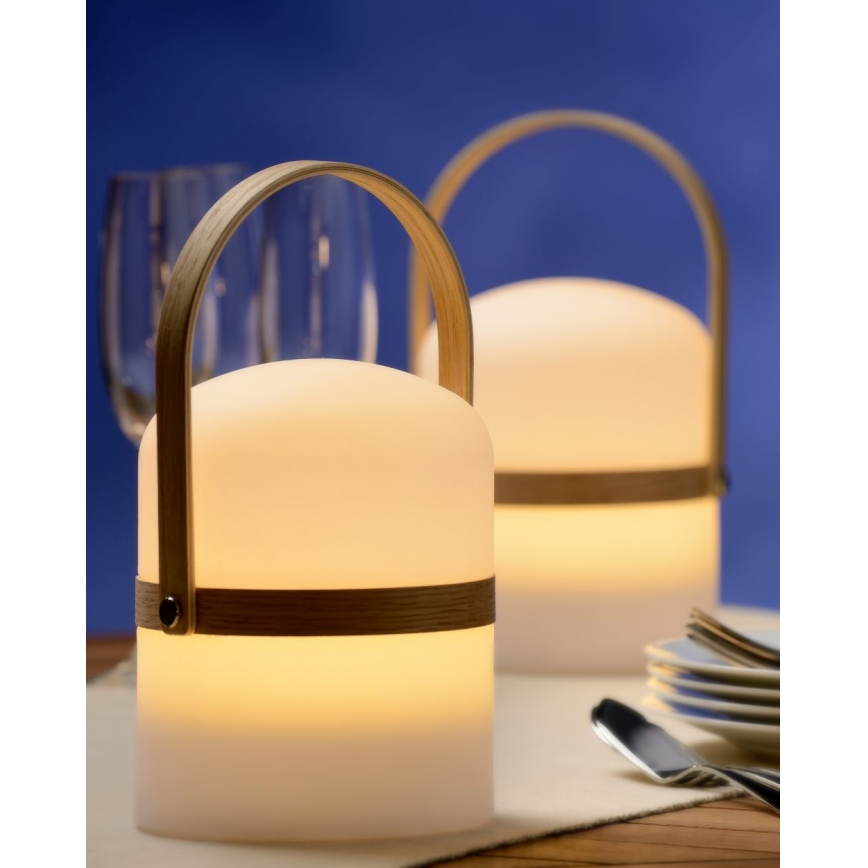 Lucide 06800/03/31 - LED udendørslampe dæmpbar JOE LED/3W/3,7V 680mAh IP44