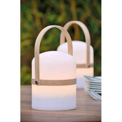 Lucide 06800/03/31 - LED udendørslampe dæmpbar JOE LED/3W/3,7V 680mAh IP44