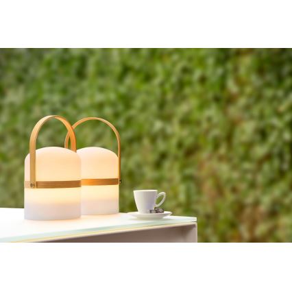 Lucide 06800/03/31 - LED udendørslampe dæmpbar JOE LED/3W/3,7V 680mAh IP44