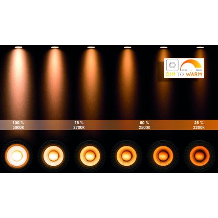 Lucide 09930/05/30 - LED spotlampe dæmpbar TAYLOR 1xGU10/5W/230V IP44