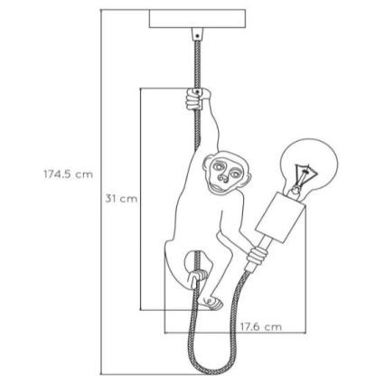 Lucide 10402/01/30 - Pendel EXTRAVAGANZA CHIMP 1xE27/60W/230V