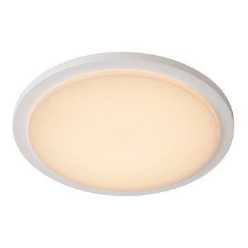 Lucide 28859/30/31 - LED badeværelsesbelysning ORAS LED/20W/230V hvid IP54