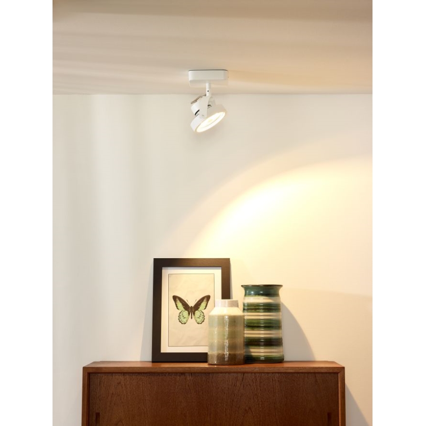 Lucide 31930/12/31 - LED spotlampe dæmpbar TALA LED 1xG53/12W/230V/12V