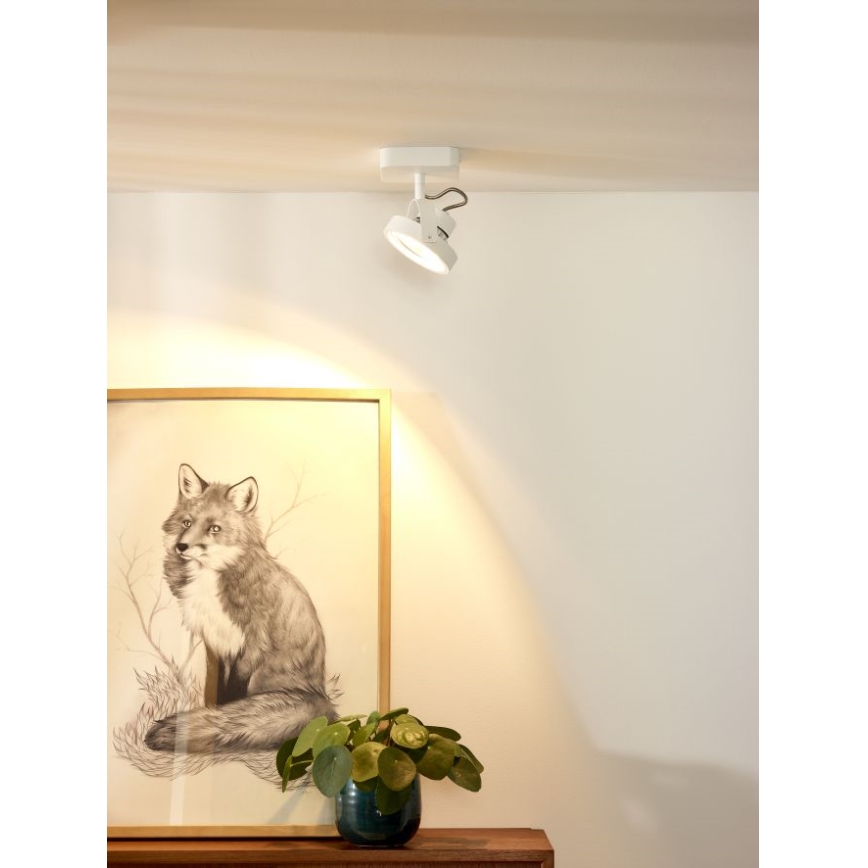 Lucide 31930/12/31 - LED spotlampe dæmpbar TALA LED 1xG53/12W/230V/12V