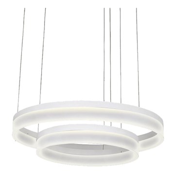 LUXERA 18408 - LED dæmpbar loftlampe på kabel VEDUA LED/78W/230V