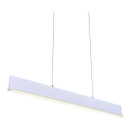 LUXERA 18414 - LED dæmpbar pendel på wire OBLO LED/30W/230V