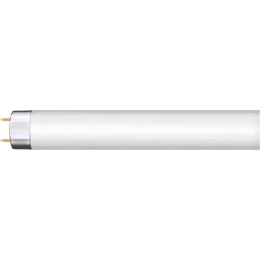 Lysstofrør G13/36W/230V 120 cm