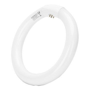 Lysstofrør T9 G10Q/22W/230V 6500K - Aigostar