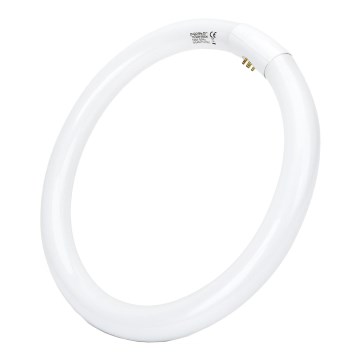 Lysstofrør T9 G10q/32W/230V 6500K - Aigostar