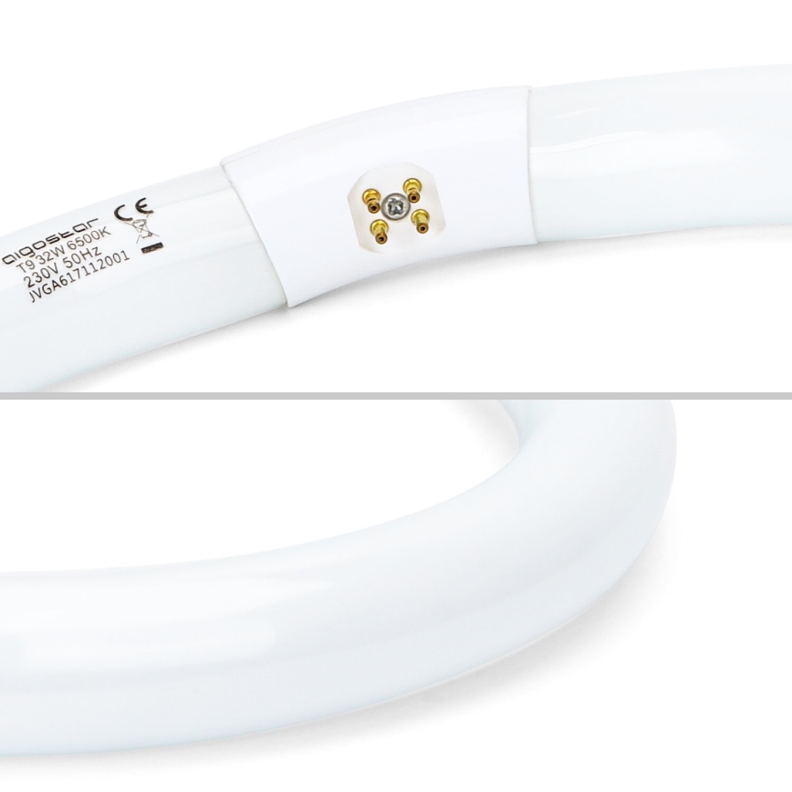 Lysstofrør T9 G10q/32W/230V 6500K - Aigostar