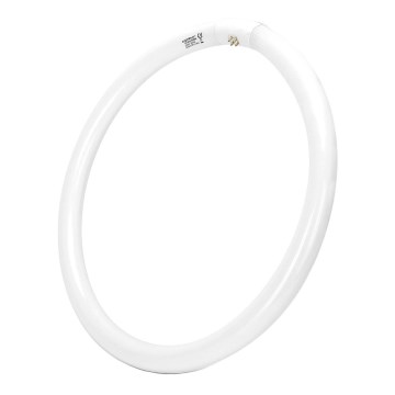 Lysstofrør T9 G10q/40W/230V 6500K - Aigostar