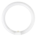Lysstofrør YH G10q/28W/230V 6500K - Fulgur 03045 diameter 23 cm
