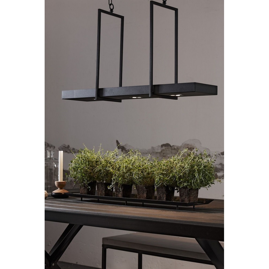Markslöjd 105780 - LED hængelampe i kæde dæmpbar TRAY 3xLED/3W/230V sort