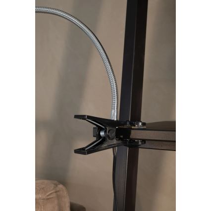 Markslöjd 106092 - LED bordlampe med klemme TULIP LED/3W/230V sort