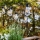 Markslöjd 107293 - Udendørs LED lyskæde GUIRLANDE GARDEN 10xLED 5,5m IP44