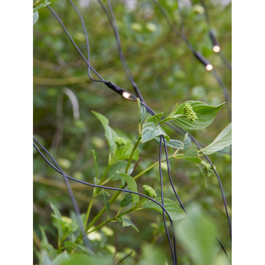 Markslöjd 108178 - LED Udendørs julelysgardin GARDEN24 160xLED/4W/24V 2x2m varm hvid