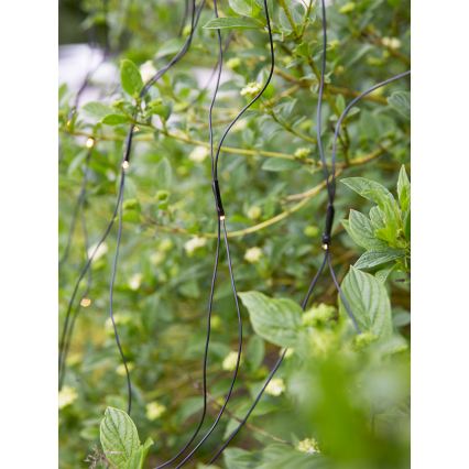 Markslöjd 108178 - LED udendørs julelysgardin GARDEN24 160xLED/24V 2x2m varm hvid