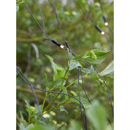 Markslöjd 108178 - LED udendørs julelysgardin GARDEN24 160xLED/24V 2x2m varm hvid