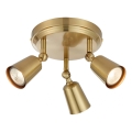 Markslöjd 108980 - Spotlampe TINY 3xGU10/7W/230V i messing