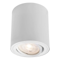 Markslöjd 109020 - Dæmpbar LED-spot DIRETTO LED/5W/230V CRI 90 hvid