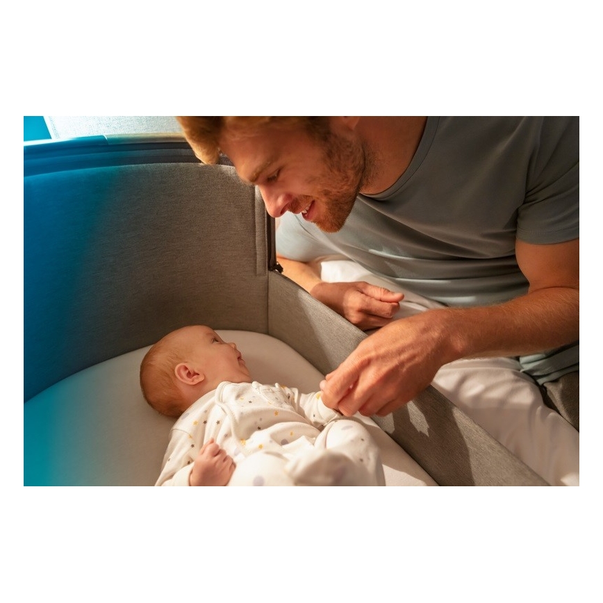 Maxi-Cosi - Vugge IORA grå