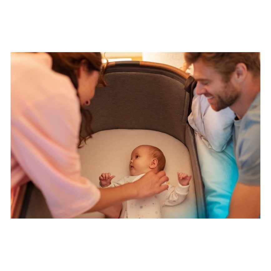 Maxi-Cosi - Vugge IORA grå