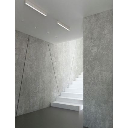 MAXLIGHT C0125D - LED loftlampe dæmpbar LINEAR LED/36W/230V 113,5 cm hvid