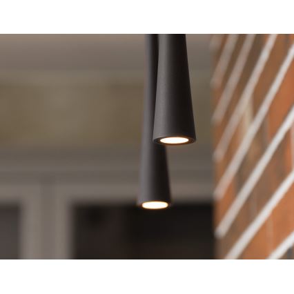 MAXLIGHT P0372 - LED pendel KAFFE LED/7W/230V diameter 3 cm sort
