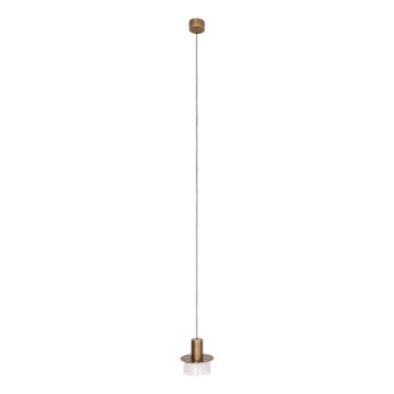 MAXLIGHT P0530 - LED pendel SIGNATURE LED/8W/230V diameter 15 cm messing/transparent