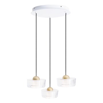 MAXLIGHT P0543 - LED pendel LIPARI LED/22W/230V diameter 35 cm transparent