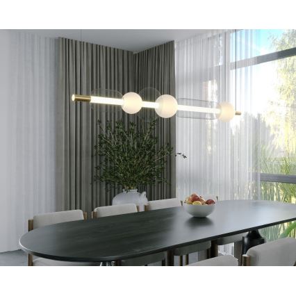 MAXLIGHT P0593 - LED pendel BORA LED/29W/230V hvid/sort