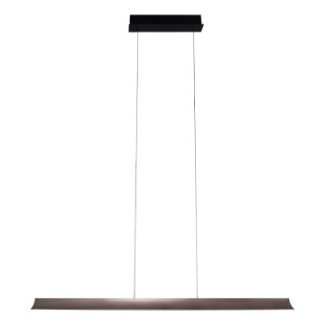 MAXLIGHT P0595 - LED pendel dæmpbar JO-JO LED/38W/230V 2700/4500/5500K antracit