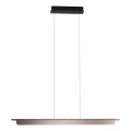 MAXLIGHT P0597 - LED dæmpbar loftlampe på wire JO-JO LED/40W/230V 2700/4500/5500K antracit