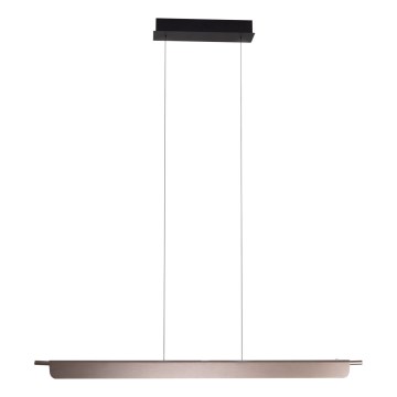 MAXLIGHT P0597 - LED dæmpbar loftlampe på wire JO-JO LED/40W/230V 2700/4500/5500K antracit