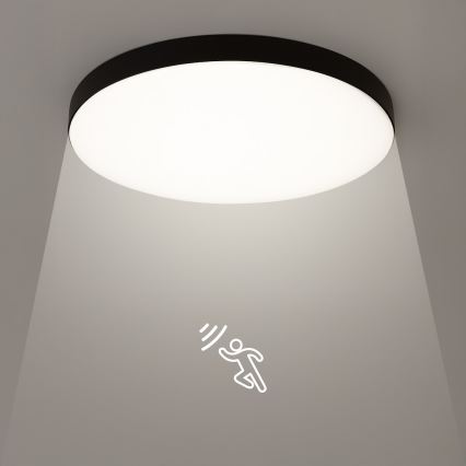 LED Badeværelsesloftlampe med sensor MAYA LED/13W/230V Ø 33 cm IP44 sort