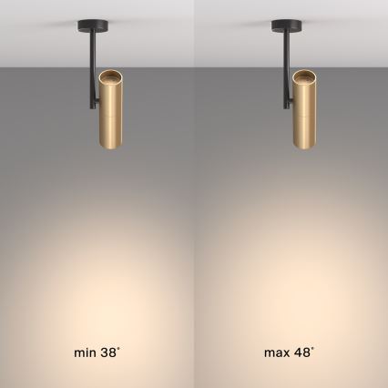 Maytoni C020CL-01GB - Spotlampe ELTI 1xGU10/50W/230V guldfarvet