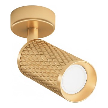 Maytoni C034CL-01G - FOCUS spotlampe 1xGU10/10W/230V guld