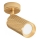 Maytoni C034CL-01G - FOCUS spotlampe 1xGU10/10W/230V guld