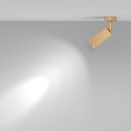 Maytoni C034CL-01G - FOCUS spotlampe 1xGU10/10W/230V guld