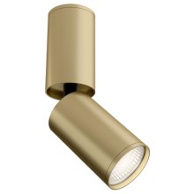Maytoni C051CL-01MG - Spotlampe FOCUS 1xGU10/10W/230V guldfarvet