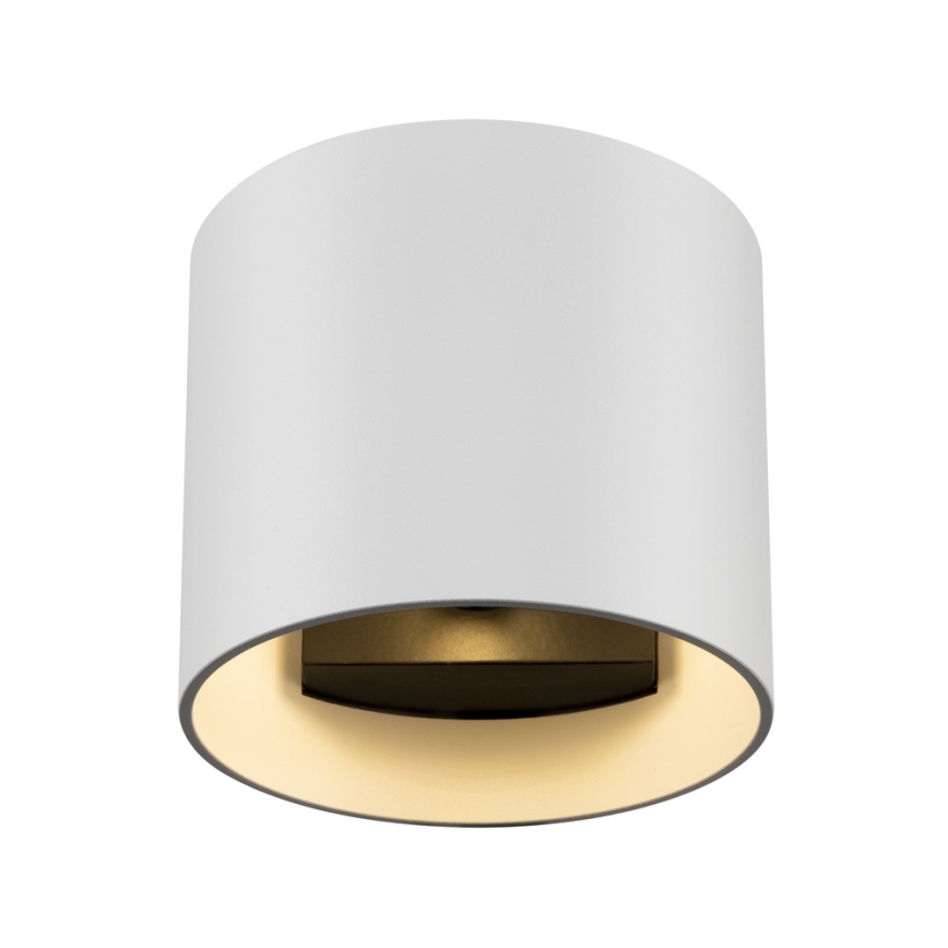 Maytoni C066WL-01W - Væglampe ROND 1xG9/50W/230V hvid