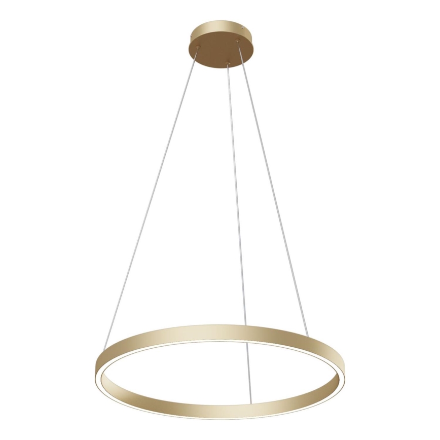 Maytoni MOD058PL-L32BS4K - LED pendel RIM LED/37W/230V 4000K diameter 60 cm guldfarvet