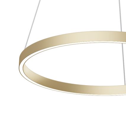 Maytoni MOD058PL-L32BS4K - LED pendel RIM LED/37W/230V 4000K diameter 60 cm guldfarvet