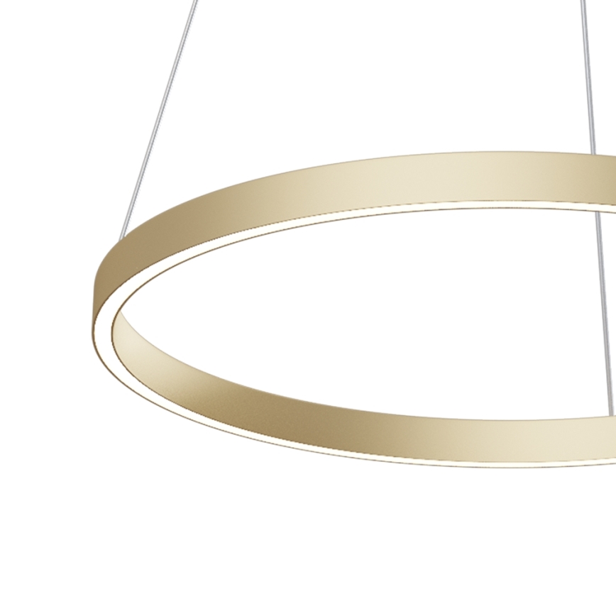 Maytoni MOD058PL-L32BS4K - LED pendel RIM LED/37W/230V 4000K diameter 60 cm guldfarvet