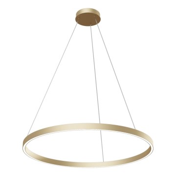 Maytoni MOD058PL-L42BS4K - LED pendel RIM LED/51W/230V 4000K diameter 80 cm guldfarvet