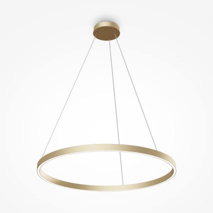Maytoni MOD058PL-L42BS4K - LED pendel RIM LED/51W/230V 4000K diameter 80 cm guldfarvet