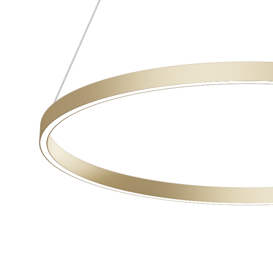 Maytoni MOD058PL-L42BS4K - LED pendel RIM LED/51W/230V 4000K diameter 80 cm guldfarvet
