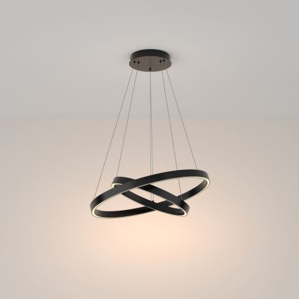 Maytoni MOD058PL-L55B3K - LED pendel RIM LED/61W/230V 3000K diameter 60 cm sort