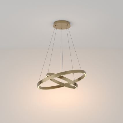 Maytoni MOD058PL-L55BS3K - LED pendel RIM LED/61W/230V 3000K diameter 60 cm guldfarvet